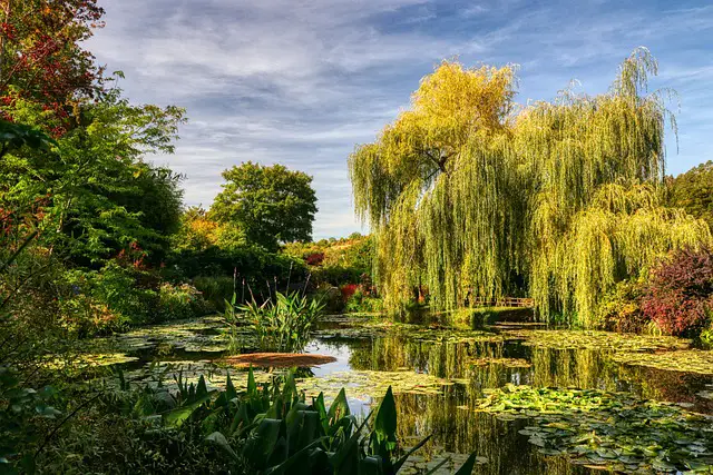 Giverny Garden