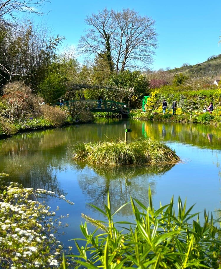 Lily pond lake
