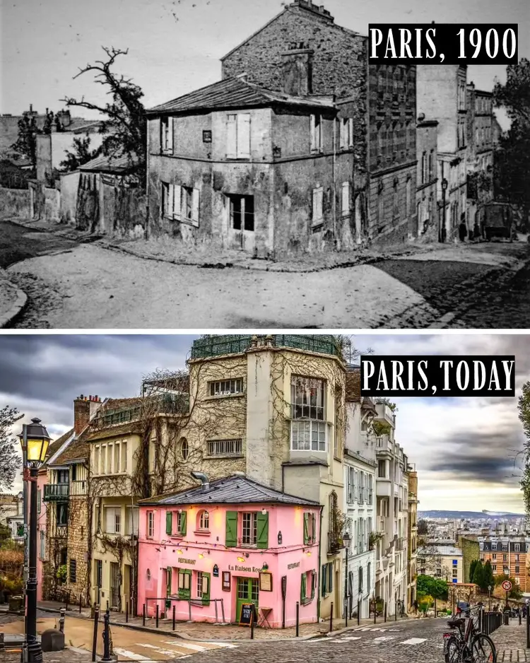 Maison Rose