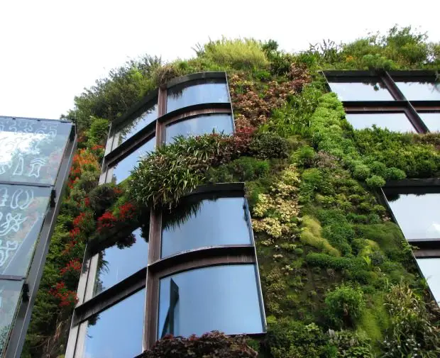 Green wall at the Musée du Quai Branly