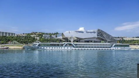 musee des confluences