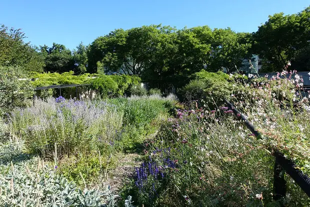 Plants at the André Citroen Park