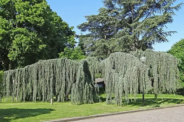 gardens to visit outside paris