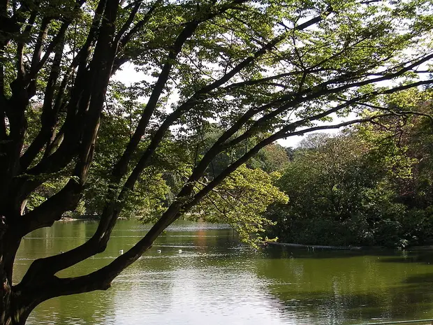 Parc Montsouris