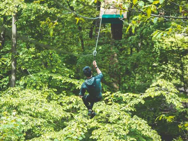 tree climbing course