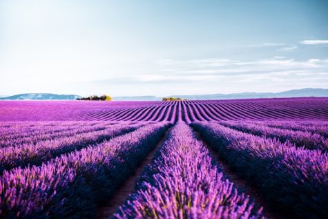 Plateau de Valensole