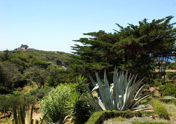 Island of Porquerolles