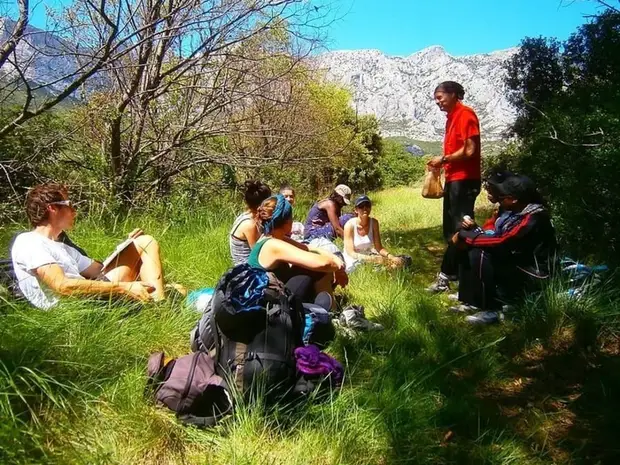 Surviving camp near Marseille