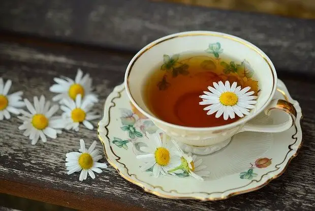 cup of tea and daisies