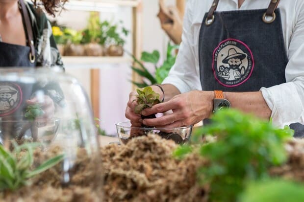 Making your Terrarium