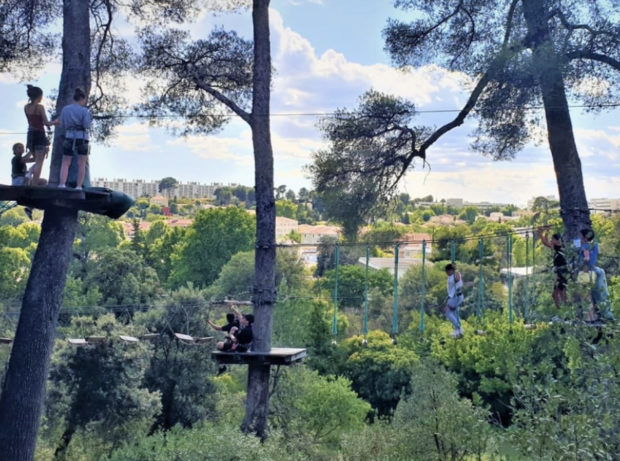 Tree climbing