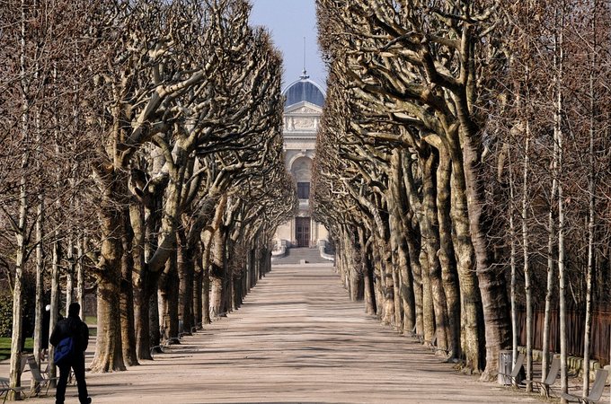 Der Jardin des Plantes