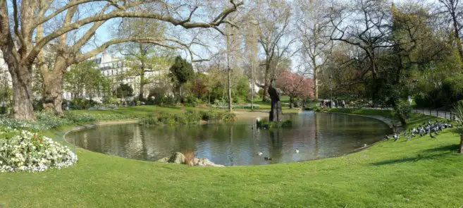 lago arboles parque jardin 