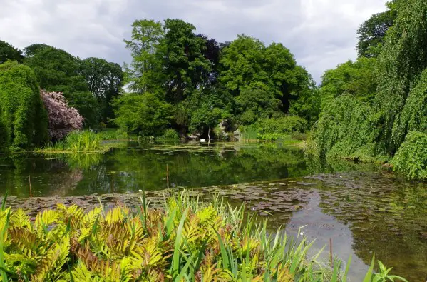 lago arboles parque jardin