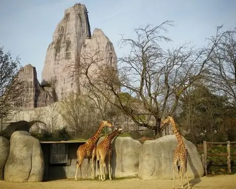 Zoo de Vincennes