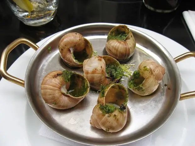 escargots com manteiga de ervas