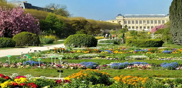 Jardin des Plantes Paris