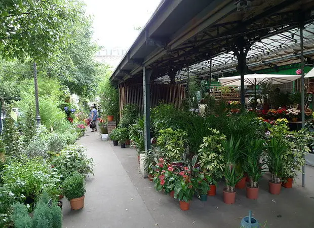 Marché aux fleurs et aux oiseaux