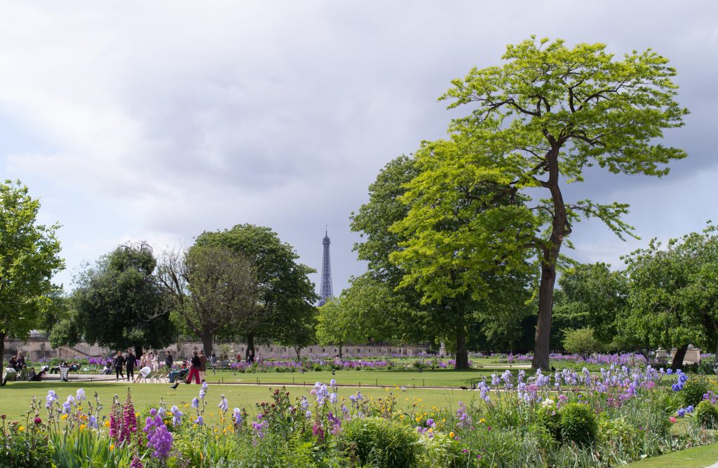 jardin des tuileries