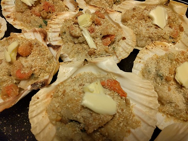 Des coquilles Saint-Jacques