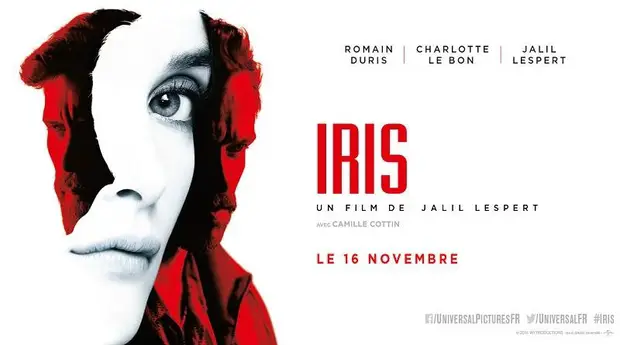 Affiche Iris