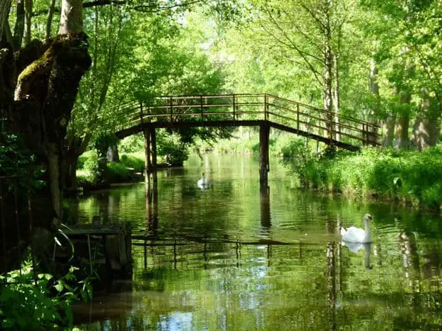 Le marais Poitevin