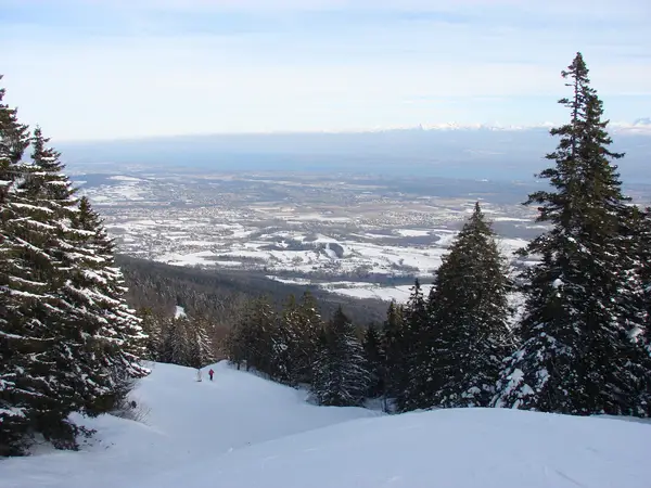 Monts Jura piste sapins