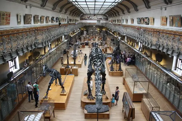the french national museum of natural history