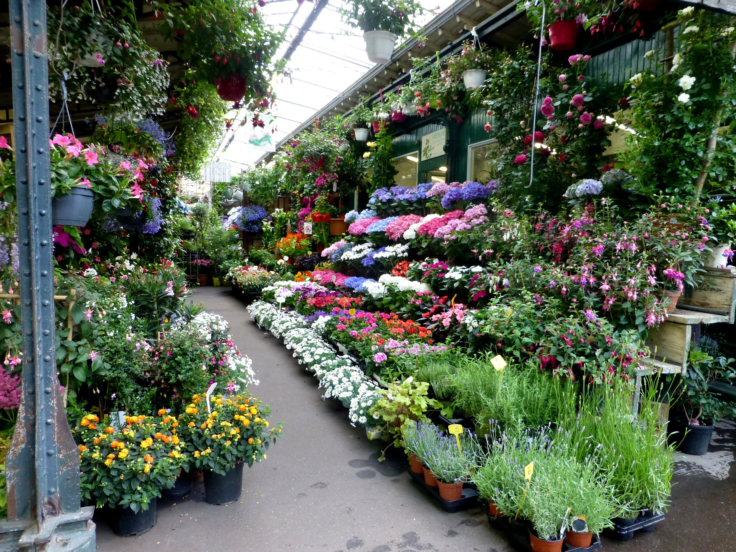 Marché aux fleurs paisible