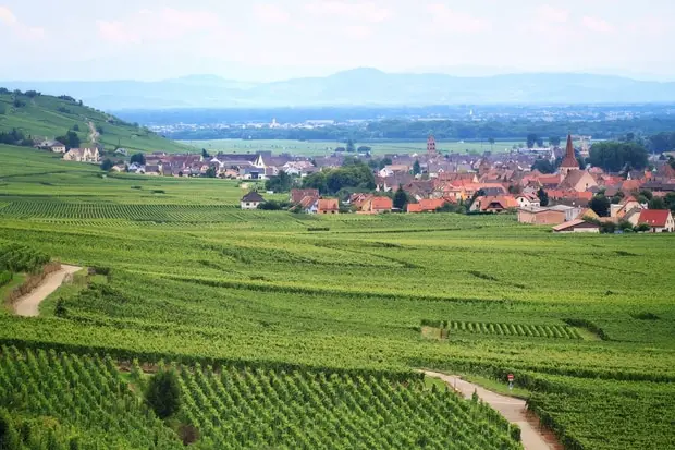 alsace