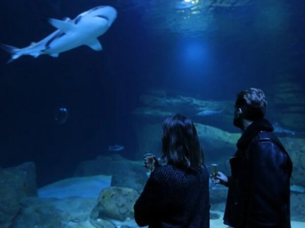 aquarium paris champagne