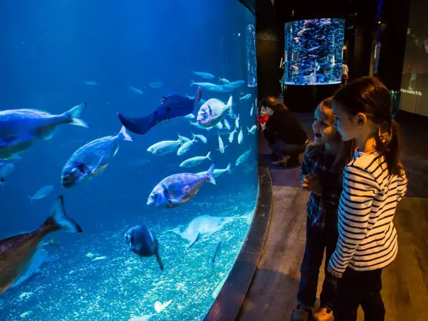 aquarium de paris et des enfants