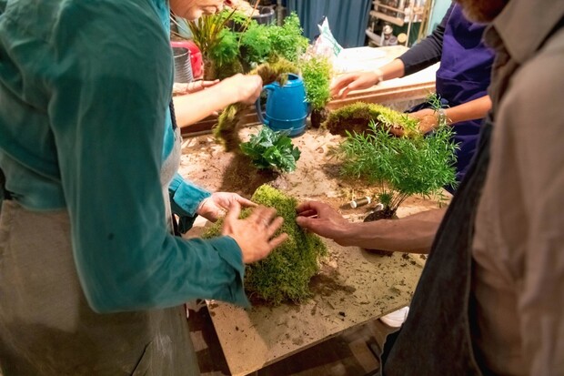groupe et plantes