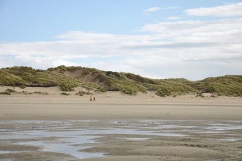 Baie de Somme