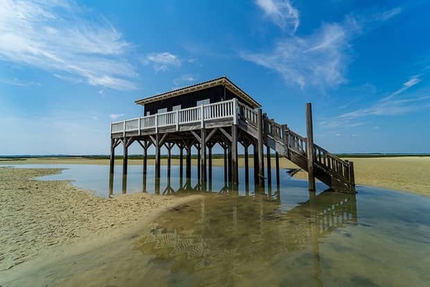 cabane tchanquée Arcachon