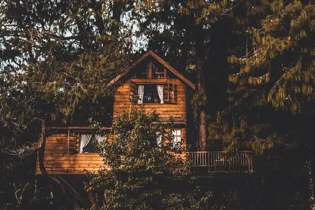 Cabanes dans les arbres