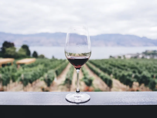 Wine Tour