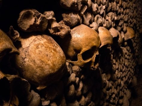 Crânes des catacombes de Paris