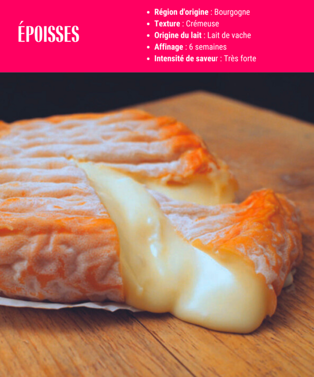 fiche descriptive de l'époisses