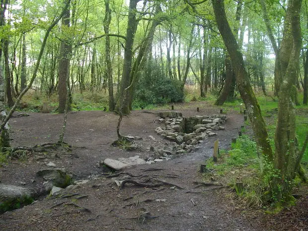 Forêt de Brocéliande