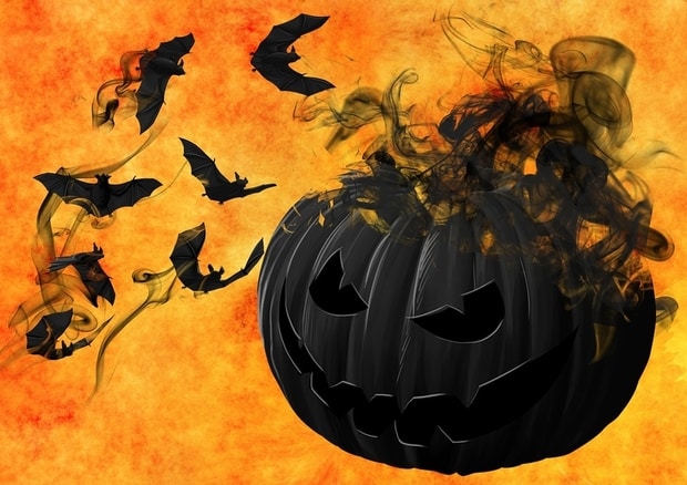 halloween citrouille