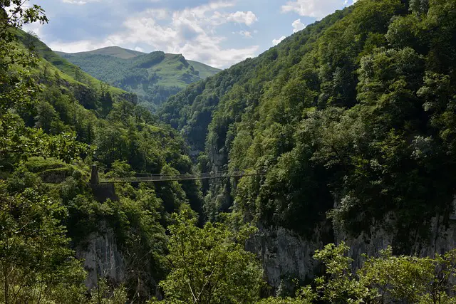 passerelle holzarte