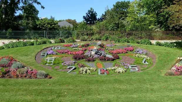 horloge de fleurs