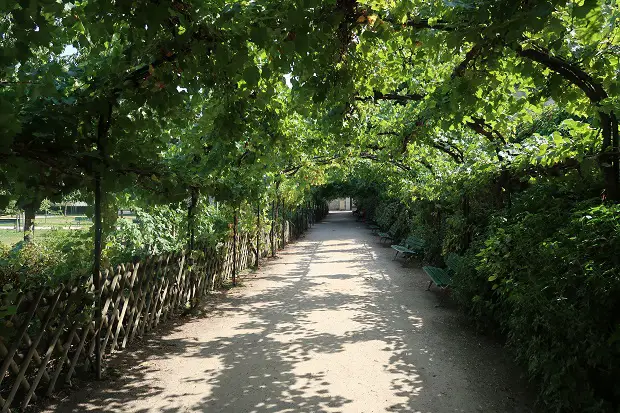 Jardin Catherine-Labouré