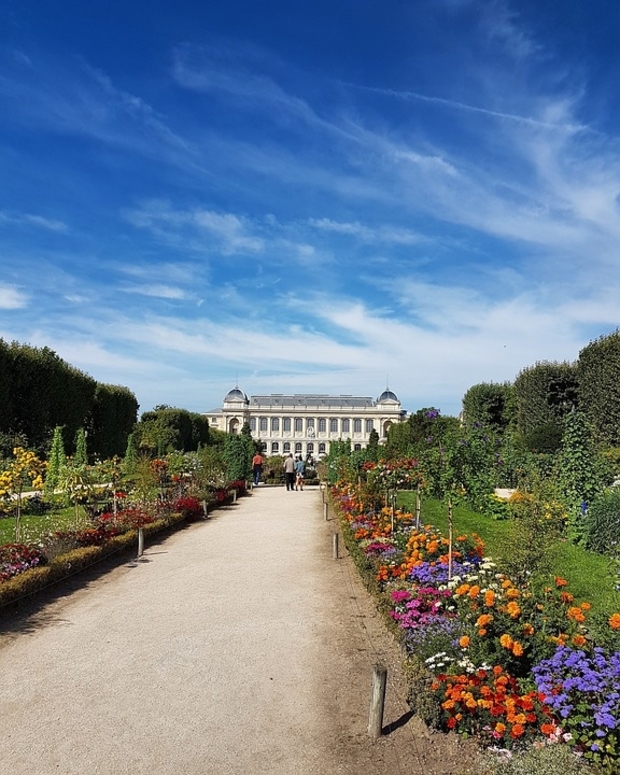 Muséum d'histoire naturelle Jardin des Plantes