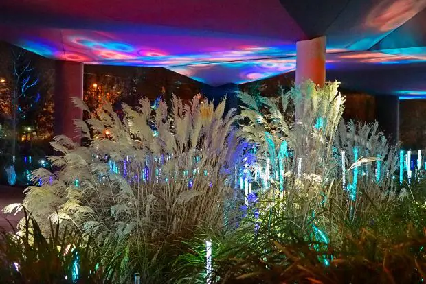 Jardin du Quai Branly de nuit