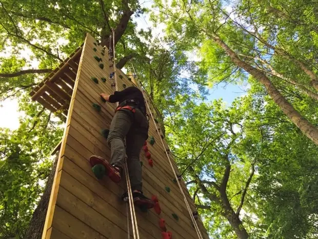 Jumping Forest