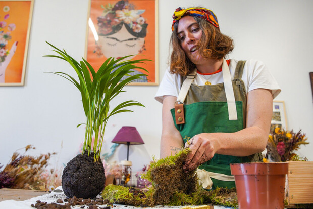 Atelier kokedama