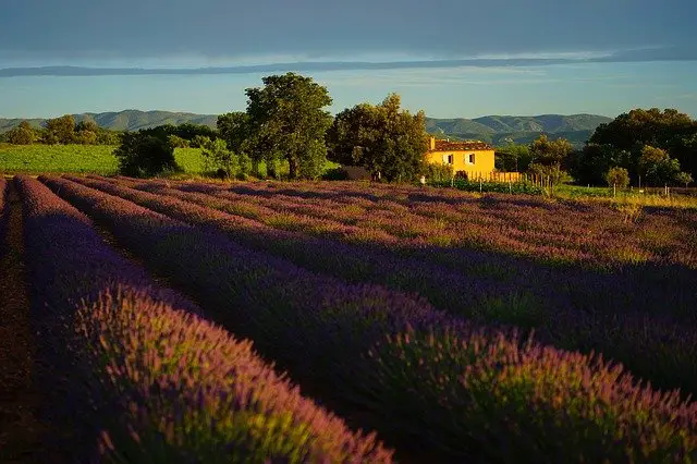 la-provence