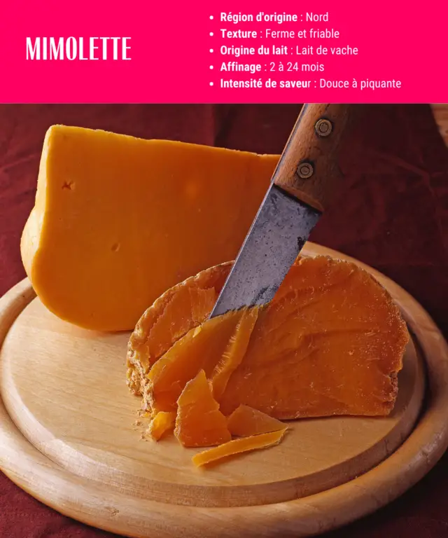 fiche descriptive de la mimolette